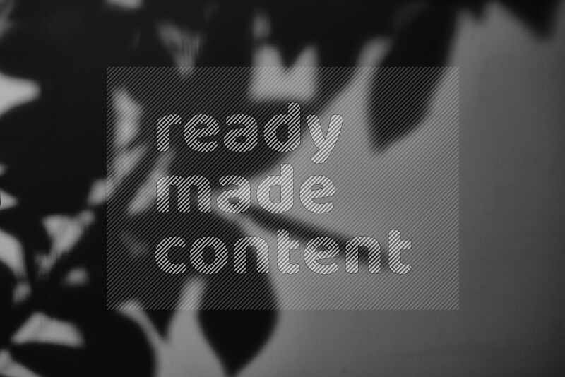 A delicate gobo light projects the silhouette of plant leaves onto a smooth surface