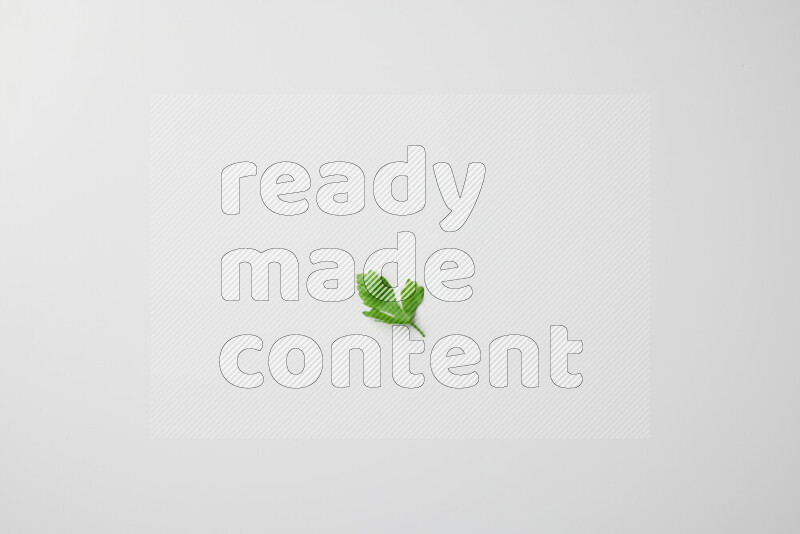 Scattered fresh parsley leaves on white background