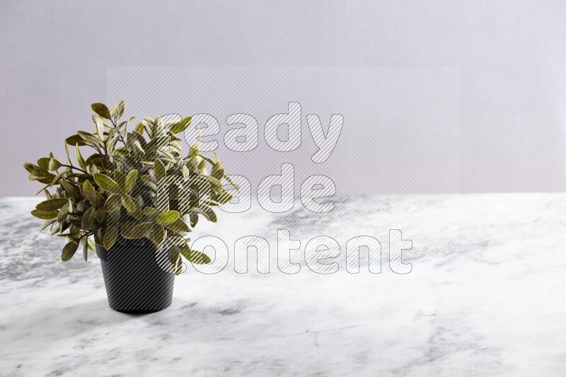 Green artificial plant in black pot on grey marble background