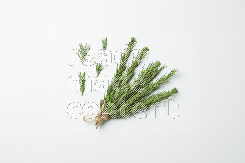 Multi fresh rosemary sprigs on white background