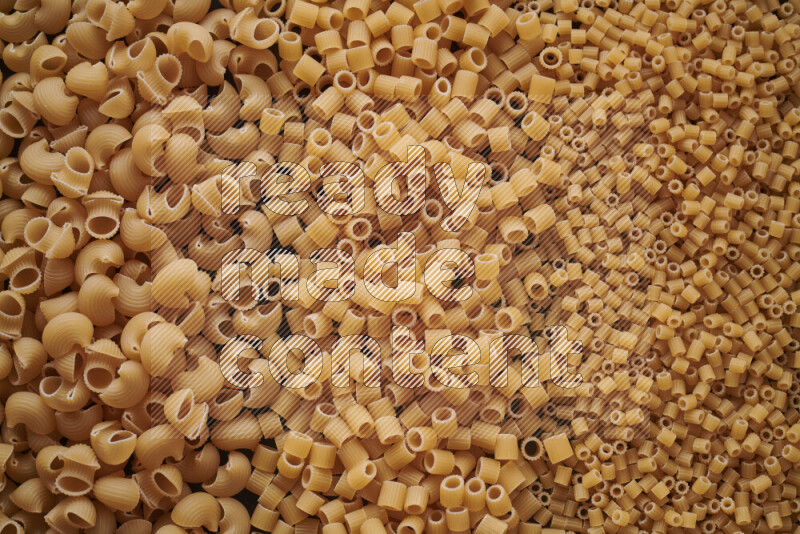 3 types of pasta filling the frame