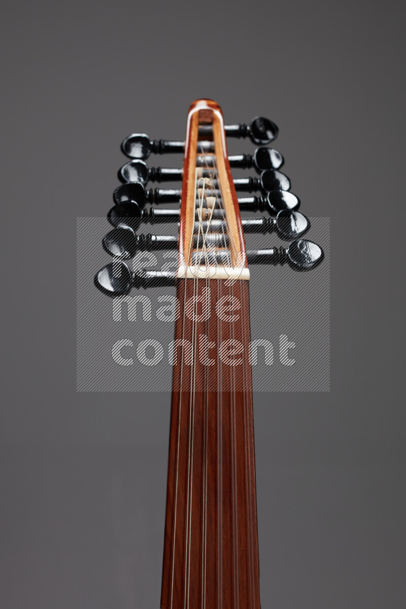 parts of a brown wooden Oud in a gray background