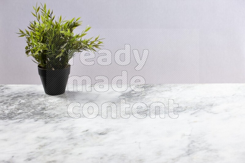 Green artificial plant in black pot on grey marble background