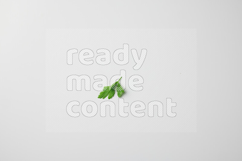 Scattered fresh parsley leaves on white background