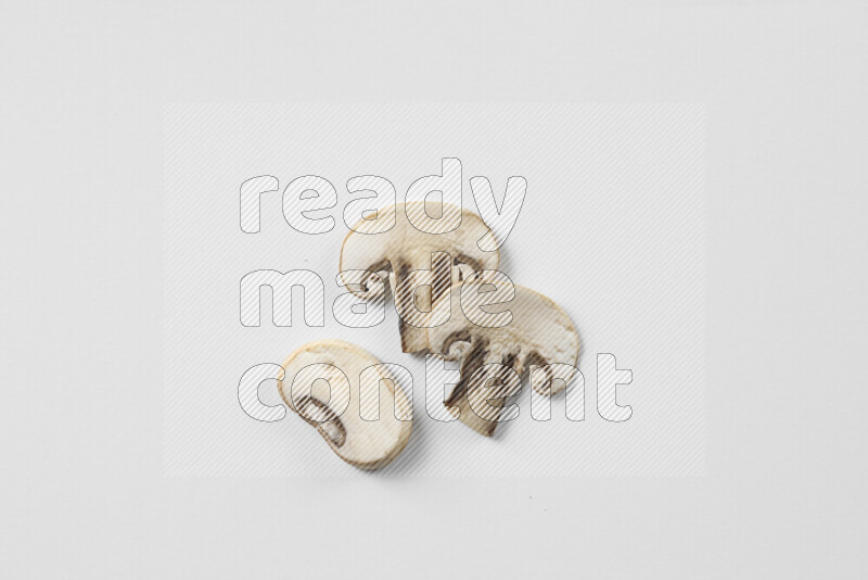 Mushrooms on white background