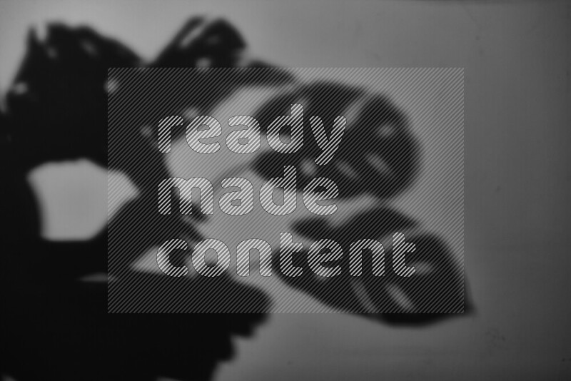 A delicate gobo light projects the silhouette of plant leaves onto a smooth surface