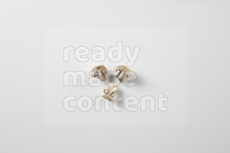Mushrooms on white background