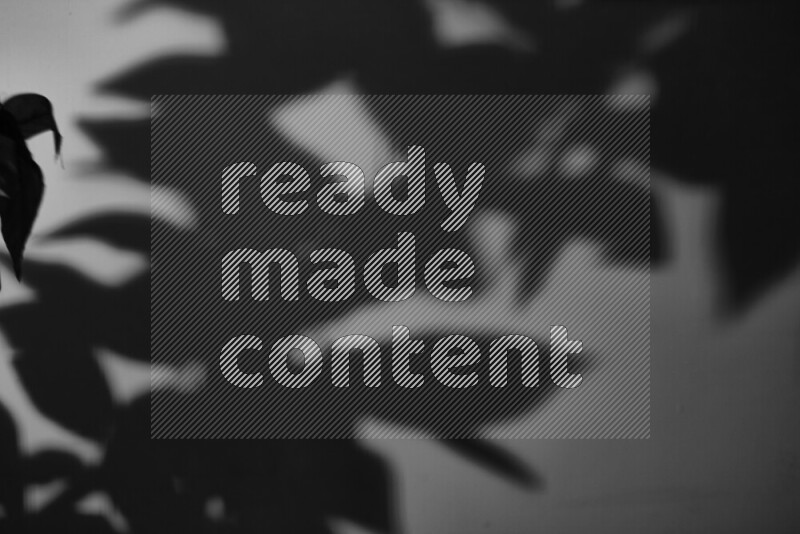 A delicate gobo light projects the silhouette of plant leaves onto a smooth surface