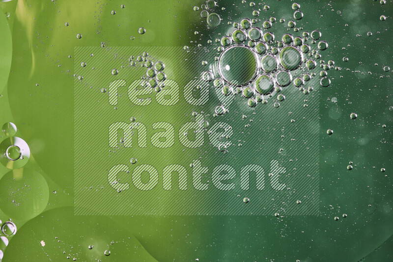 Close-ups of abstract oil bubbles on water surface in shades of green