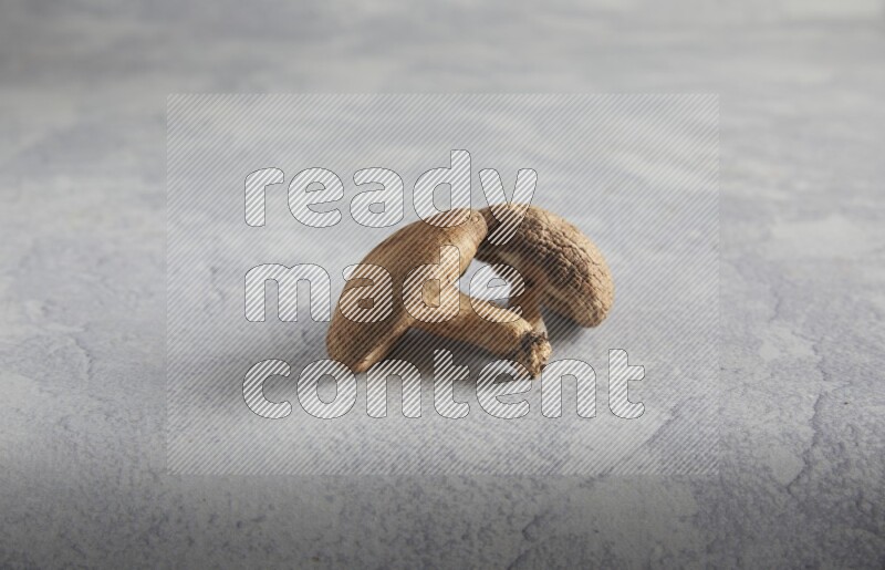 45 degre shiitake mushrooms on a textured light blue  background