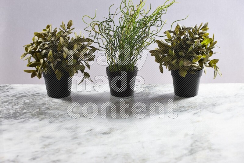 Multiple artificial plants in black pot on grey marble background